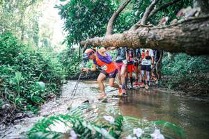 BIB: 
                            <button type="button" onclick="openModal(25467612)" class="btn btn-primary btn-sm float-right btn-popup" data-toggle="modal" data-target=".modal-high-quality">
                        <i class="fas fa-shopping-cart"></i> Add to Cart
                    </button>
                                            <button type="button" onclick="isThisMe(25467612, true)" class="btn btn-success btn-sm float-right btn-popup btn-isme hidden" data-toggle="tooltip" data-placement="bottom" title="นี่คือรูปของคุณใช่ไหม คลิกที่นี่เพื่อเอาเข้าอัลบั้ม">
                        <i class="fas fa-plus"></i> Add to album
                    </button>
                    <button type="button" onclick="isThisMe(25467612, false)" class="btn btn-warning btn-sm float-right btn-popup btn-isnotme hidden">
                        <i class="fas fa-ban"></i> Remove from album
                    </button>